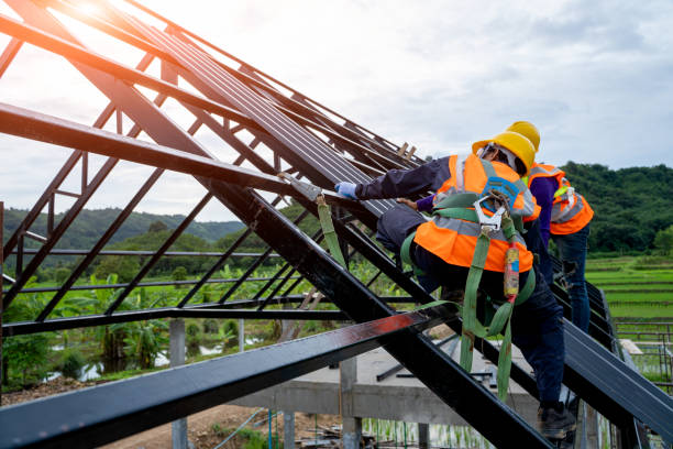 Best Roof Gutter Cleaning  in Albers, IL